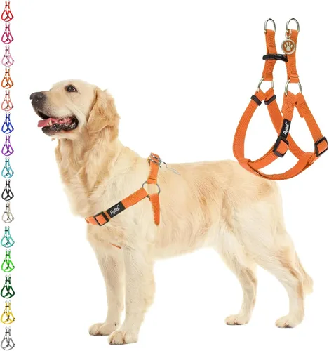 Vista 22 de Pupteck - Arnés para perros sin jalar, suave, ajustable, de nailon, talla básica, chaleco para cachorro, para caminar al aire libre con etiqueta
