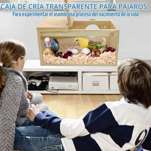Vista 7 de BNOSDM Caja de nido de periquitos transparente con perca de madera para pájaros con jaula de cacatúas, periquitos, conure, pinzón, loro, pájaros