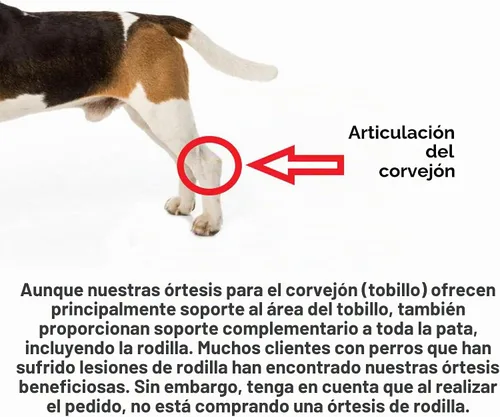Vista 5 de Doggie Stylz - Soporte ajustable para patas de perro