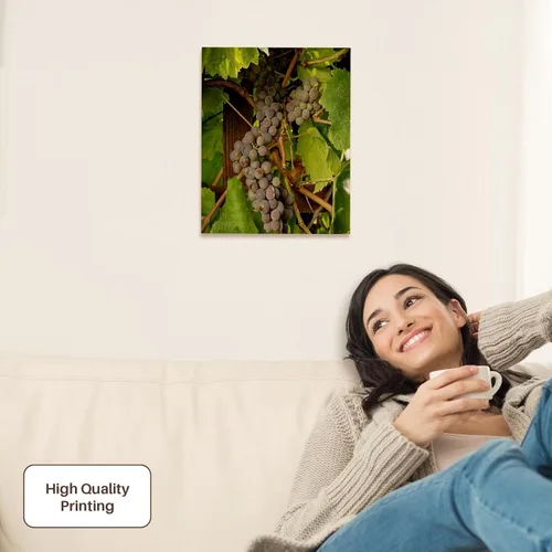 Vista 2 de 3dRose USA, Oregon, Keizer, Pinot Gris grape vineyard - US38 RBR0729 - Rick A Brown Museum Grade Canvas Wrap 11x14
