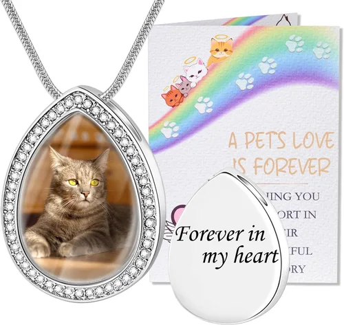 Vista 28 de Fanery Sue Collar personalizado para cenizas de mascotas para perros y gatos, foto y texto personalizados, regalo de condolencia, regalo