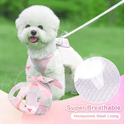 Vista 5 de PETCARE Lindo Juego de Arnés y Correa con Moño para Perro y Gato Elegante Arnés de Gradiente Arcoíris para Cachorros sin Tirones Arnés Suave de Rosa