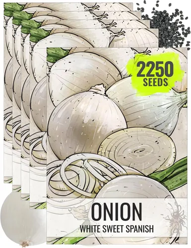 Vista 9 de Seed Needs Semillas de cebolla roja borgoña para plantar reliquia y sin OMG, 1 paquete