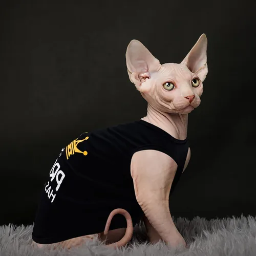 Vista 5 de 8 camisas para mascotas para perros pequeños, gatos, ropa suave y transpirable impresa con bonito patrón, sudadera para perro para chihuahuas Para