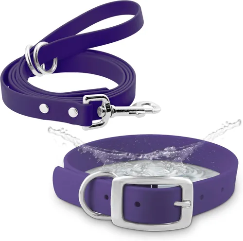 Vista 12 de Regal Dog Products Collar pequeño negro para perros con doble hebilla resistente y anillo en D Collar de perro ajustable de Biothane
