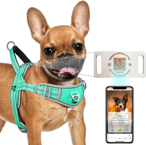 Vista 10 de ADVENTUREMORE Arnés para perro pequeño sin tirones con etiqueta de código QR, chaleco reflectante, asa de clip frontal para entrenar caminando