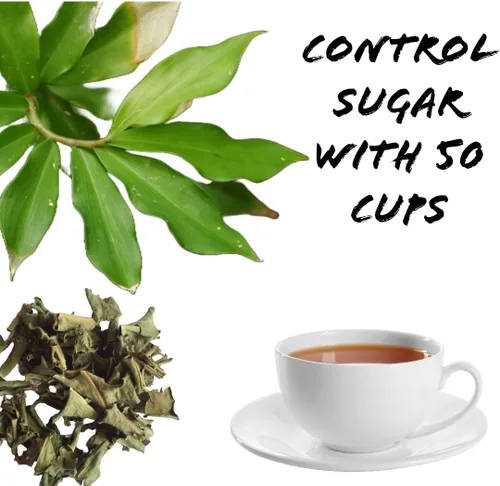Vista 4 de Hojas secas de plantas de insulina 1.76 oz (50g) Té de hierbas natural Costus Igneus