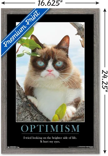 Vista 3 de Trends International Grumpy Cat - El Lado Más Brillante Póster de Pared, 14.725 x 22.375 pulgadas, Versión Enmarcada de Madera de Granero