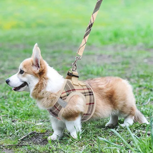 Vista 8 de Arnés de malla suave para cachorros – Juego de arnés y correa para perros pequeños, ajustable y cómodo chaleco reflectante acolchado para cachorros