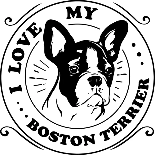 Vista 3 de SEC Apparel Boston Terrier - Parches termoadhesivos para transferir letras para camisetas, ropa de tela (Boston Terrier mamá)