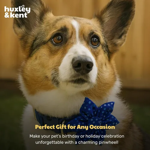 Vista 8 de Huxley & Kent Lazo de molinete para mascotas para perros y gatos – Accesorio de collar de gancho y bucle ajustable para vacaciones – Lindo y cómodo