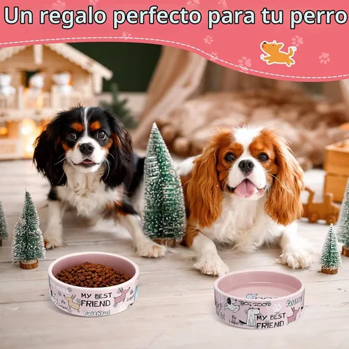 Vista 7 de Maxcheck - 2 cuencos de cerámica para perros pequeños, 5 pulgadas, color Rosa