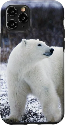 Vista 29 de Polar Bears Animal Nature Case for iPhone 17