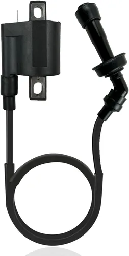 Vista 2 de 3YF-82370-00-00 Bujía de bobina de encendido para Yamaha Grizzly 660 YFM660 2002-2008 Rhino 660 YXR660 2004-2007 Raptor 660R YFM660 2001-2005