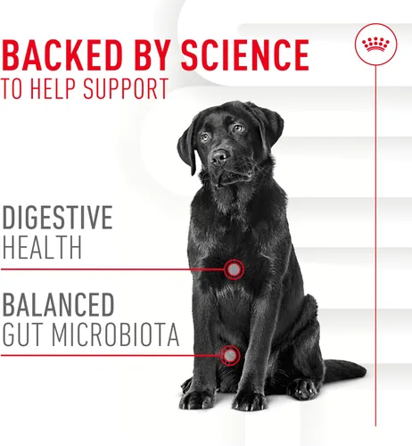 Vista 3 de Royal Canin - Suplemento digestivo para perros adultos, masticables suaves, 60