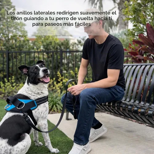 Vista 3 de ShawnCo Arnés esencial para perro, chaleco sin tirones para mascotas con 3 clips de correa, sin estrangulamiento, reflectante, ajustable y Camuflaje