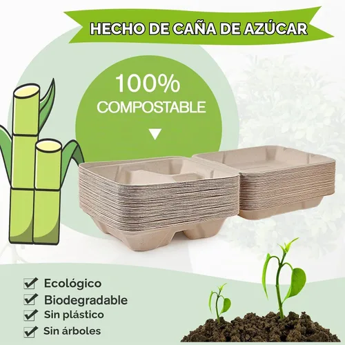 Vista 3 de ECOLipak Paquete de 300 recipientes con forma de ostra para llevar, 100% compostables y desechables, recipientes para llevar comida de 20,3 x 20,3 3