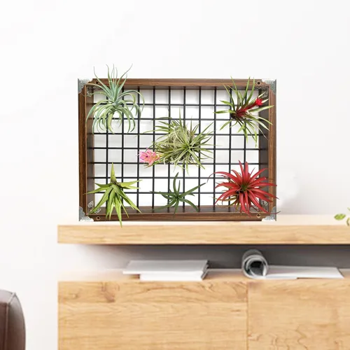 Vista 7 de Lilybud- lily Colgador de plantas para interiores y exteriores, macetas colgantes grandes de 16" para plantas de interior, soporte para plantas