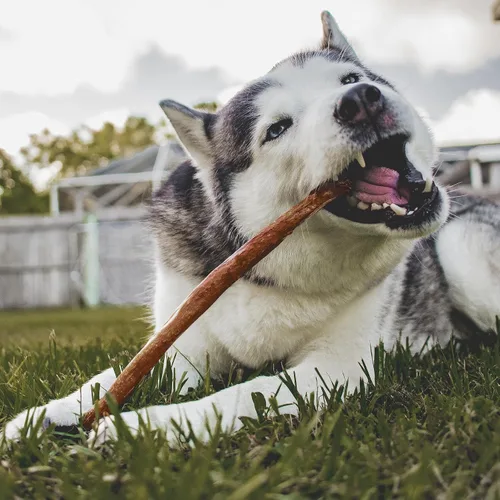 Vista 13 de Cadet Bully Hide Sticks Natural Dog Chews, Large, 7 Count