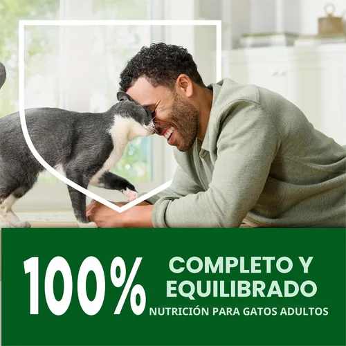 Vista 11 de Purina Cat Chow Comida seca para gatos de interior con peso saludable y control de bolas de pelo con pollo - (Paquete de 4) Bolsas de 3.15 lb
