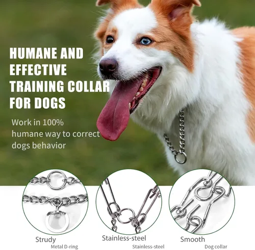 Vista 4 de Collar de entrenamiento para perros con puntas curvadas con anillo giratorio ajustable