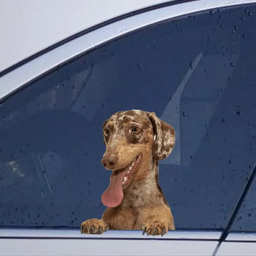 Vista 34 de Calcomanías de perro caniche, divertidas calcomanías de vinilo troqueladas para automóvil, laptop, parachoques Estilo-37