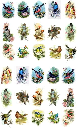 Vista 3 de Pegatinas para uñas (5 hojas) FLONZNAIL Impresionantes pájaros ilustración de libro vintage