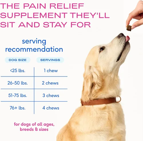 Vista 9 de Native Pet Aceite Omega para perros de 8 onzas – Suplementos de aceite de pescado y alivio – Masticables antiinflamatorios para perros – 60