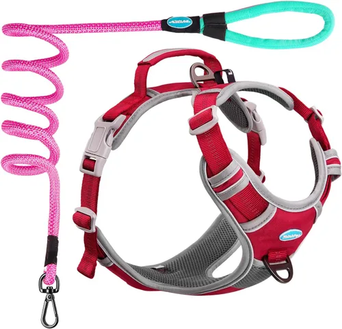 Vista 11 de ThinkPet Juego de arnés deportivo sin tirones, arnés deportivo transpirable con asa, chaleco de seguridad acolchado reflectante para perro