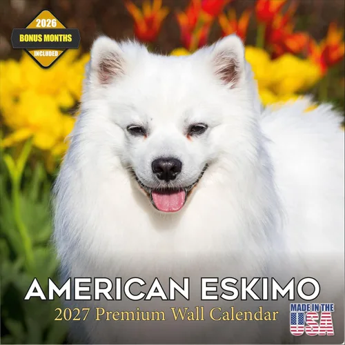 Vista 100 de Calendario de Lebrel Afgano 2025 2026, calendario mensual de pared de raza canina, 12" x 18" abierto, papel grueso sin traspaso, ideal para regalo