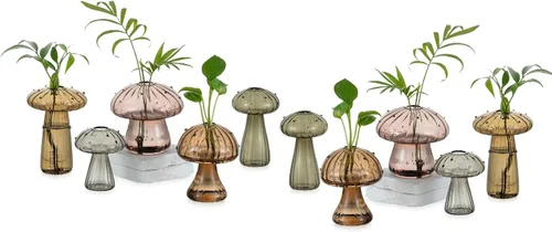 Vista 11 de Glasseam Estaciones de propagación de hongos para plantas: bonitas macetas de vidrio sopladas a mano de colores para plantas de interior, 5 frascos