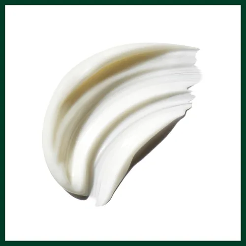 Vista 7 de Aveda Be Curly Advanced Conditioner Adds Moisture and Definition to Curly, Coily, Wavy Hair Detangles and Fights Frizz Silicone Free 97%