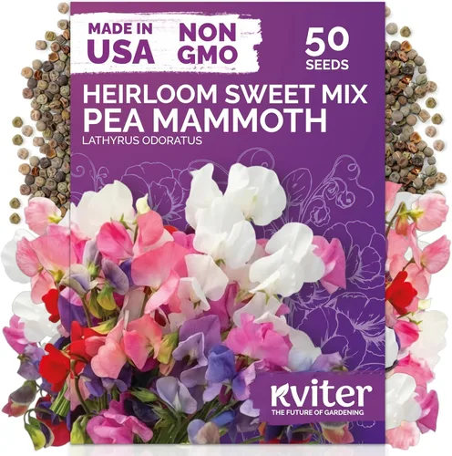Vista 15 de KVITER 15,000 semillas de rosa musgo mixta para plantar (Portulaca grandiflora) – Cubierta de suelo con floración de reliquia, semilla de Portulaca