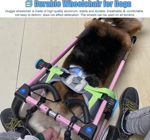 Vista 4 de Silla de ruedas para perros para patas traseras, carrito de silla de ruedas para perros, sillas de ruedas plegables para perros/asistencia