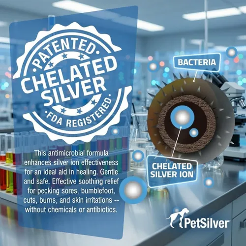 Vista 4 de PetSilver Apoyo inmunológico, solución nebulizadora natural, promueve la salud respiratoria en gatos y perros, alergias, tratamiento de senos