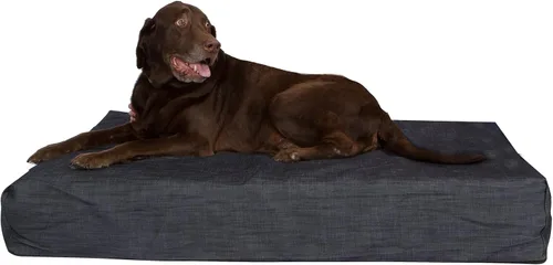 Vista 12 de Pet Support Systems Lucky Dog - Cama ortopédica de espuma viscoelástica de 7 pulgadas para perro, tamaño XXXL, azul