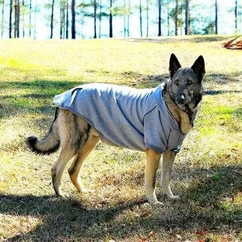 Vista 2 de Doggie Design Sudadera Deportiva - Gris Glaciar, XXXL