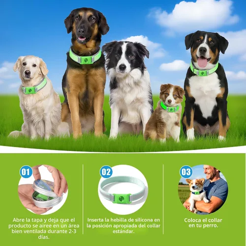 Vista 6 de Placa de identificación natural para prevención de pulgas y garrapatas, paquete de 2 collares impermeables con 4 recambios adicionales, verde