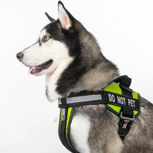 Vista 5 de Dogline Arnés de chaleco para perros y 2 parches extraíbles para no mascotas, XS/de 15 a 19 pulgadas, verde