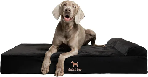 Vista 17 de NOAH & PAW Cama pequeña para perros, 20 x 15 x 6.5 pulgadas, cama para gatos de interior, espuma viscoelástica ortopédica de cáscara de huevo Verde