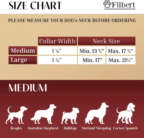 Vista 2 de Filbert Collar de cuero para perro con soporte para Airtag, collar de perro seguro mejorado, collar de cuero para perros medianos, collar de perro