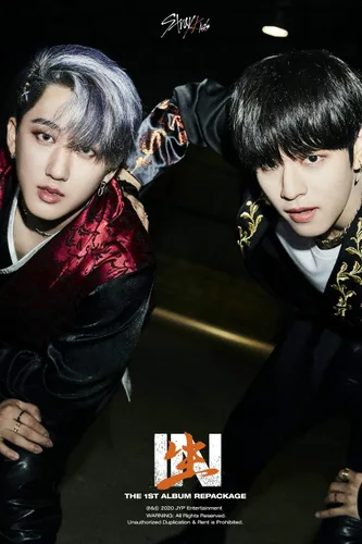 Vista 4 de Stray Kids en la vida 1er álbum Reembalaje Normal B Ver 72p PhotoBook+2p PhotoCard+1p Postal+Seguimiento Kpop sellado