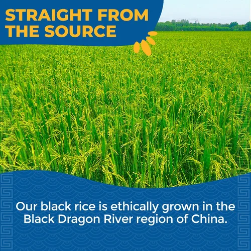 Vista 6 de Lotus Foods Heirloom Forbidden Rice - Arroz negro, arroz morado, arroz negro a granel, arroz tradicional sin gluten, grano entero, sin OMG, vegano