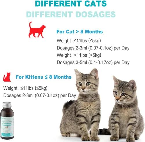Vista 4 de Suplemento líquido de apoyo inmunológico para gatos, fórmula de L-lisina para gatos, 3.38 onzas L-lisina, astrágalo y vitaminas, apoya la salud