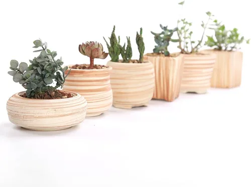 Vista 9 de Conjunto de macetas de 3 pulgadas de cerámica de madera suculenta SUN-E 6In /maceta para cactus