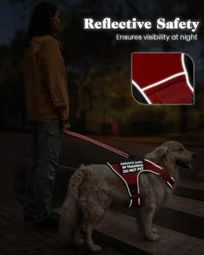 Vista 7 de Chaleco de perro de servicio para perros medianos, arnés de perro de servicio en entrenamiento con parches, chaleco ajustable para perros