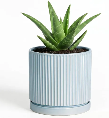 Vista 39 de 8 Inch Flower Pot, Ceramic Planters, Round Plant Pot, Beige