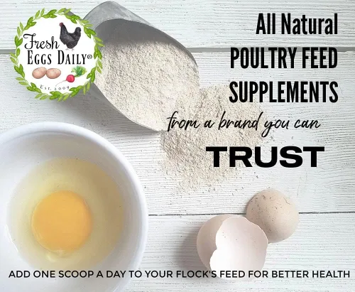 Vista 7 de Fresh Eggs Daily Polvo de levadura Brewers con ajo y niacina para rebaños de pollo y pato, adecuado para pollitos jóvenes y patitos, apoya