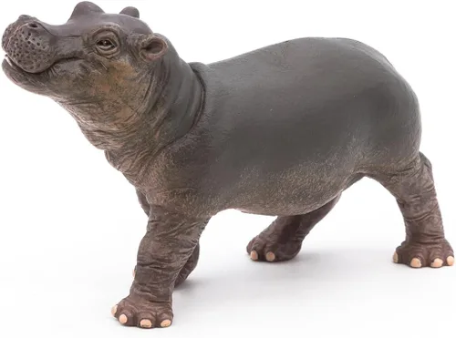 Vista 7 de Papo - Figura realista de hipopótamo bebé - A partir de 3 años - Colección Wild Life - Juego educativo de animales jóvenes - Juguete de idea