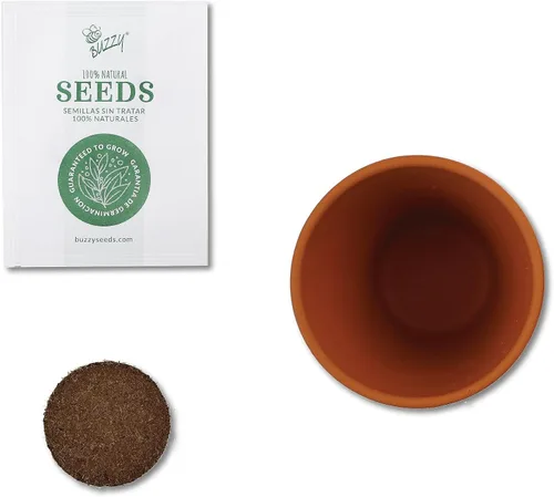 Vista 4 de BUZZY Semillas de terracota Mini macetas de cultivo Kit de iniciación de hierbas, plantas, flores para niños y adultos Mini cactus paquete de 6
